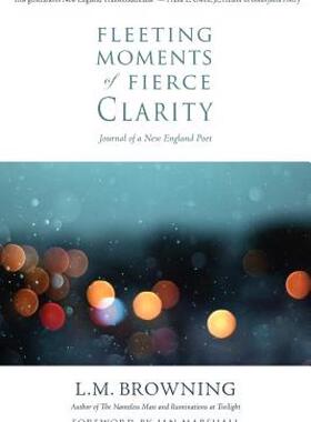 【预售】Fleeting Moments of Fierce Clarity: Journal of a New