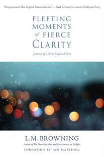 【预售】Fleeting Moments of Fierce Clarity: Journal of a New