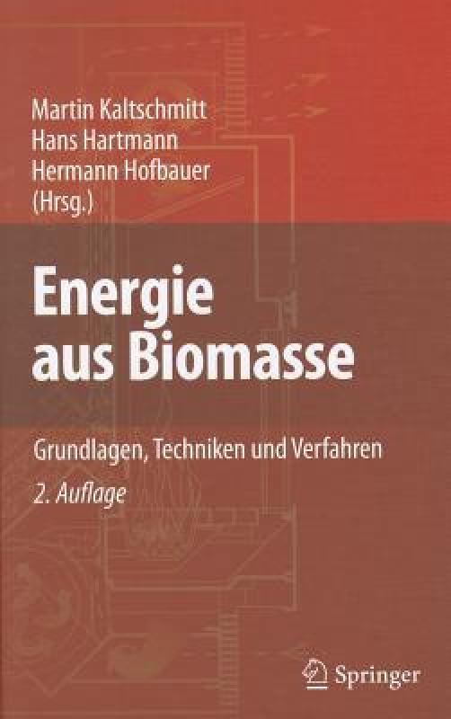 【预售】Energie Aus Biomasse: Grundlagen, Techniken Und 书籍/杂志/报纸 科普读物/自然科学/技术类原版书 原图主图