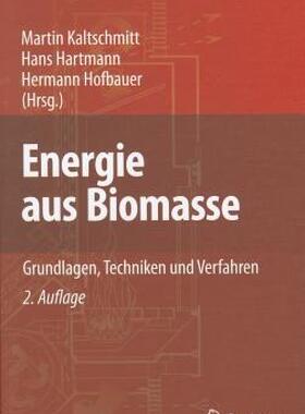 【预售】Energie Aus Biomasse: Grundlagen, Techniken Und