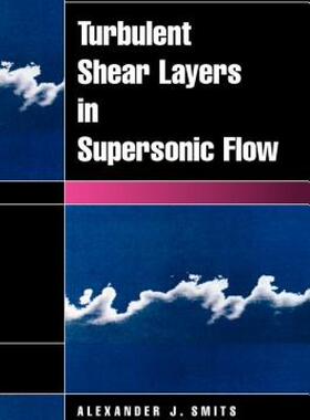 【预售】Turbulent Shear Layers in Supersonic Flow