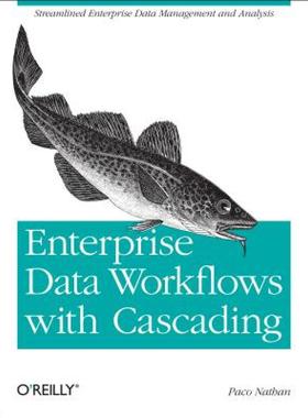 【预售】Enterprise Data Workflows with Cascading