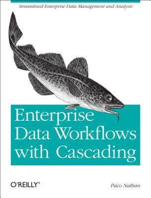 【预售】Enterprise Data Workflows with Cascading