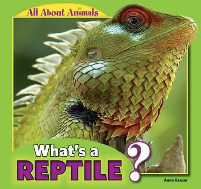 【预售】What's a Reptile?