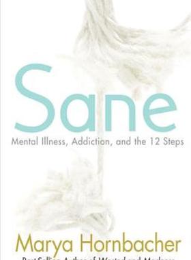 【预售】Sane: Mental Illness, Addiction, and the 12 Steps