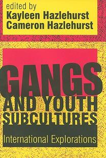 Subcultures International Youth and 预售 Gangs