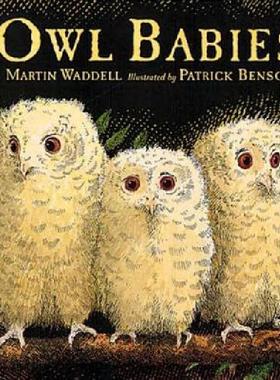 【预售】Owl Babies 廖彩杏书单推荐