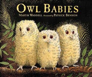 【预售】Owl Babies 廖彩杏书单推荐
