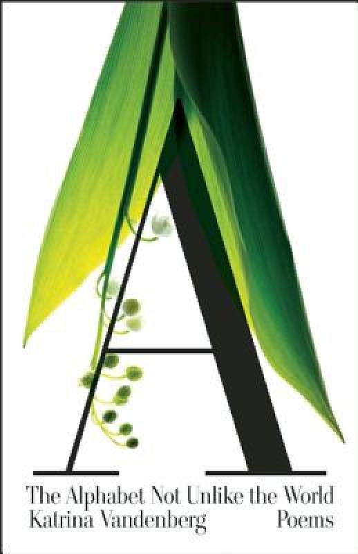 美国库房发货，通常付款后5-8周到货！