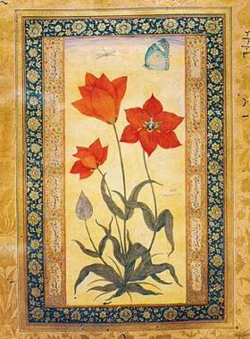 【预售】Wonders of Nature: Ustad Mansur at the Mughal Court