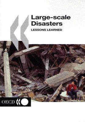 【预售】Large-Scale Disasters: Lessons Learned