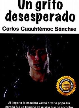 【微瑕清仓】Un Grito Desesperado: Novela de Superacion Para
