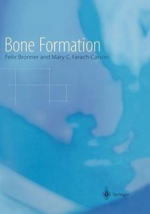 Formation Bone 预售