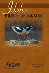 Wildlife 预售 Idaho Guide Viewing