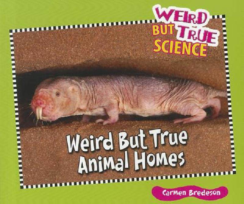 【预售】weird but true animal homes