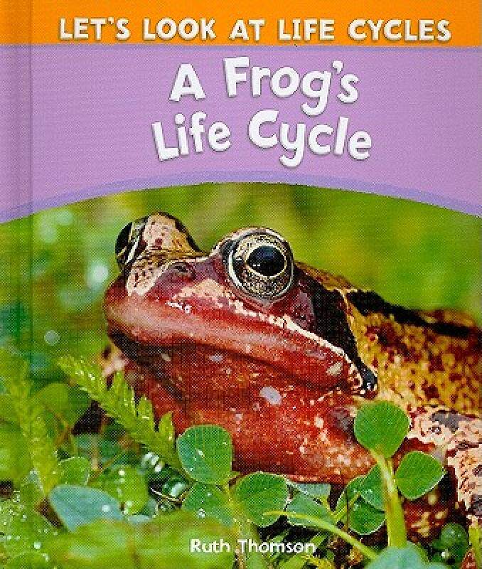 【预售】a frogs life cycle