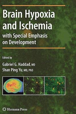 【预售】Brain Hypoxia and Ischemia