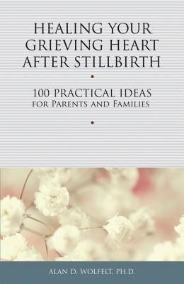 【预售】Healing Your Grieving Heart After Stillbirth: 100