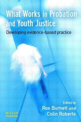 【预售】What Works in Probation and Youth Justice: