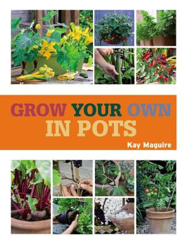 【预售】grow your own in pots: with 30 step-by-step projects
