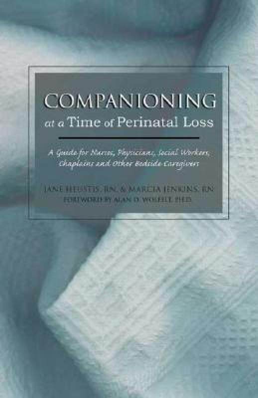 【预售】Companioning at a Time of Perinatal Loss: A Guide