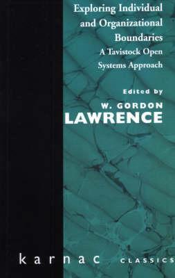 【预售】Exploring Individual and Organisational Boundaries: