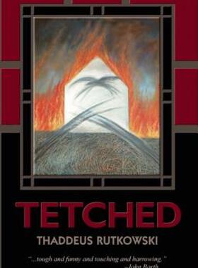 【预售】Tetched: A Novel in Fractals