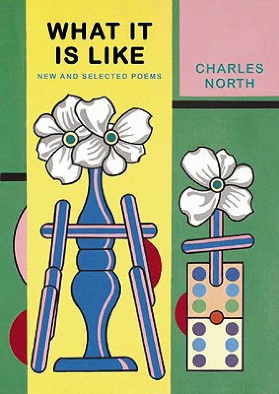 【预售】What It Is Like: New and Selected Poems