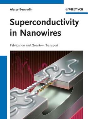 【预售】Superconductivity in Nanowires: Fabrication and