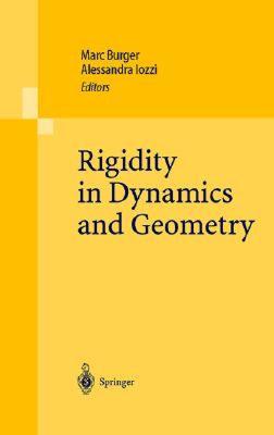 【预售】Rigidity in Dynamics and Geometry: Contributions