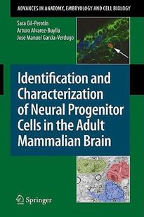 预售 Identification Characterization Neural and