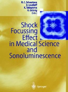 【预售】Shock Focussing Effect in Medical Science and