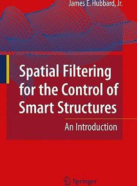 【预售】Spatial Filtering for the Control of Smart