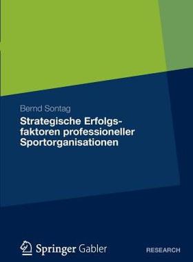 【预售】Strategische Erfolgsfaktoren Professioneller