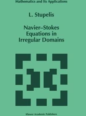 【预售】Navier-Stokes Equations in Irregular Domains
