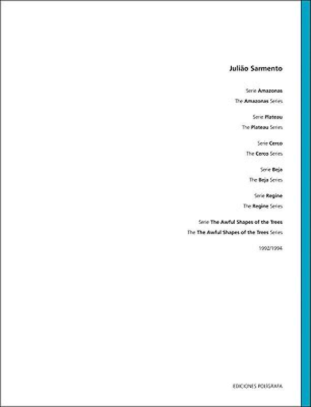 【预售】Juliao Sarmento