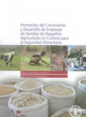 【预售】Promocion del Crecimiento y Desarrollo de Empresas