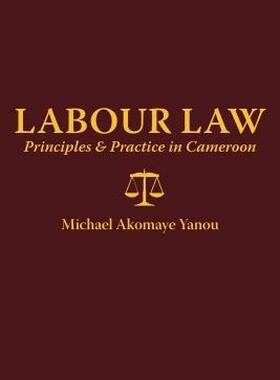 【预售】Labour Law: Principles and Practice in Cameroon