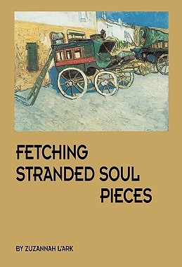 【预售】Fetching Stranded Soul Pieces
