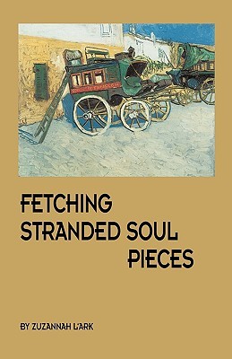 【预售】Fetching Stranded Soul Pieces
