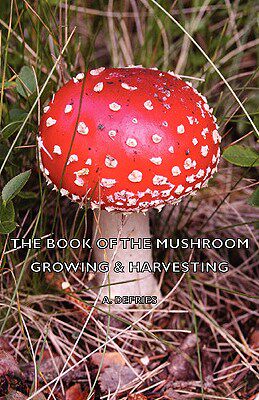 【预售】The Book of the Mushroom - Growing & Harvesting