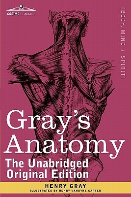 【预售】Gray's Anatomy: Descriptive and Surgical