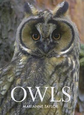 【预售】Owls