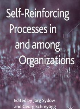 【预售】Self-Reinforcing Processes in and Among