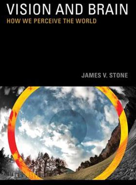 【预售】Vision: How We Perceive the World