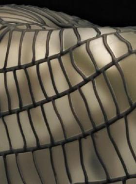 【预售】Links: Australian Glass and the Pacific Northwest