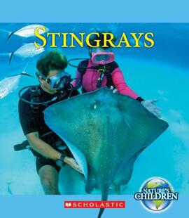 【预售】Stingrays