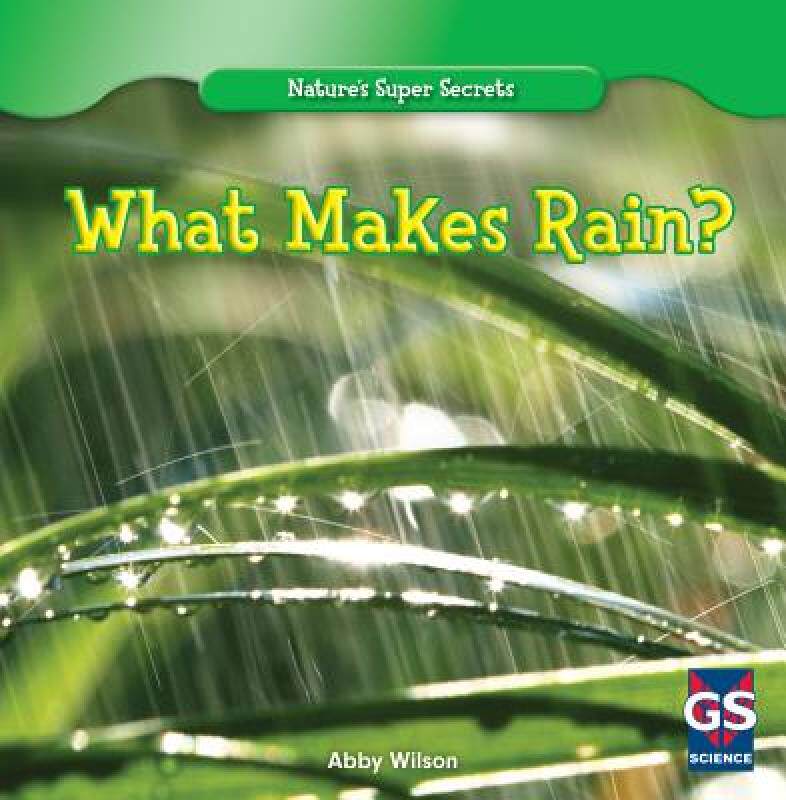 【预售】What Makes Rain?