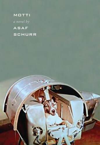 美国库房发货，通常付款后5-8周到货！