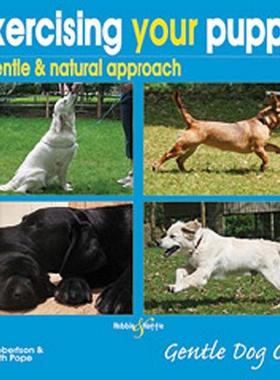 【预售】Exercising Your Puppy: A Gentle & Natural Approach
